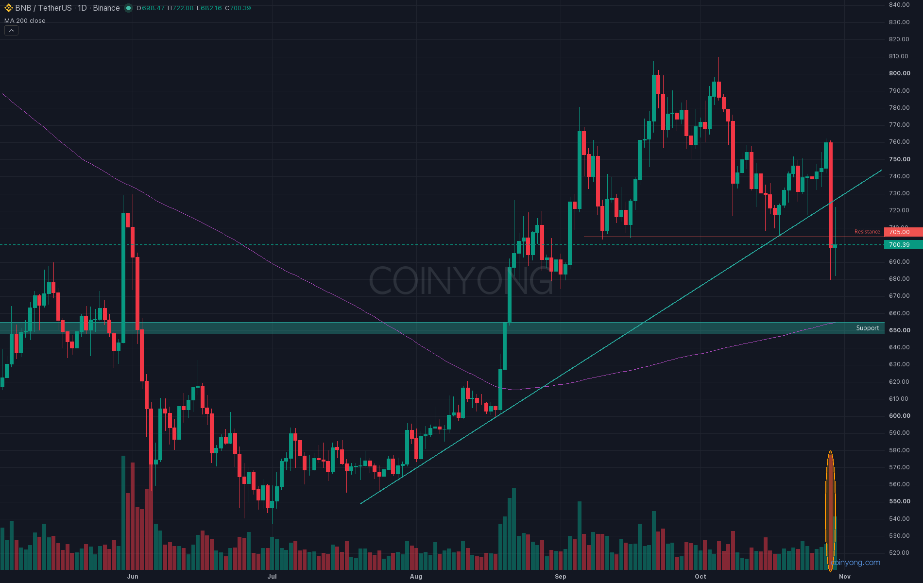 BNB analysis chart