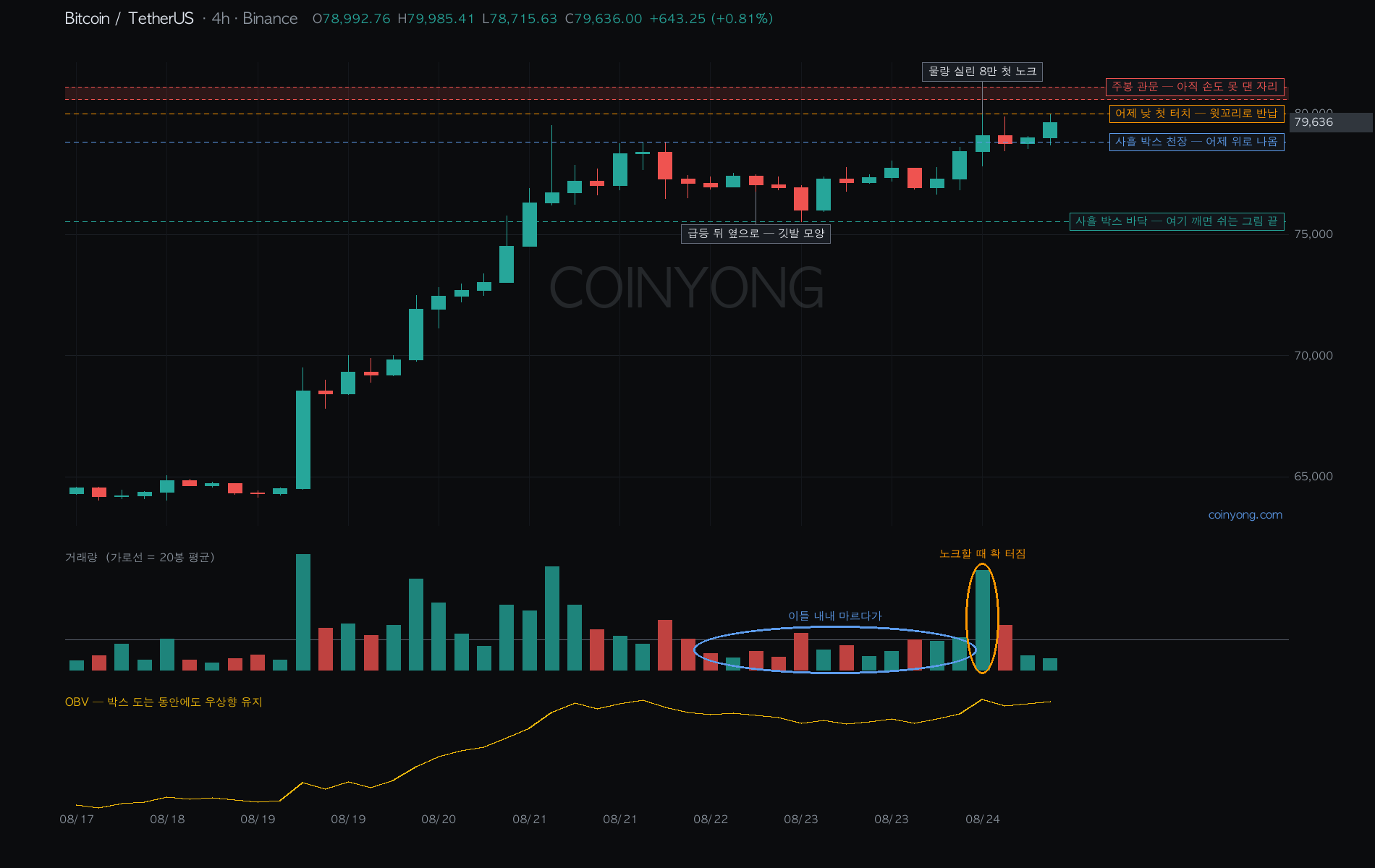 BTC 分析チャート