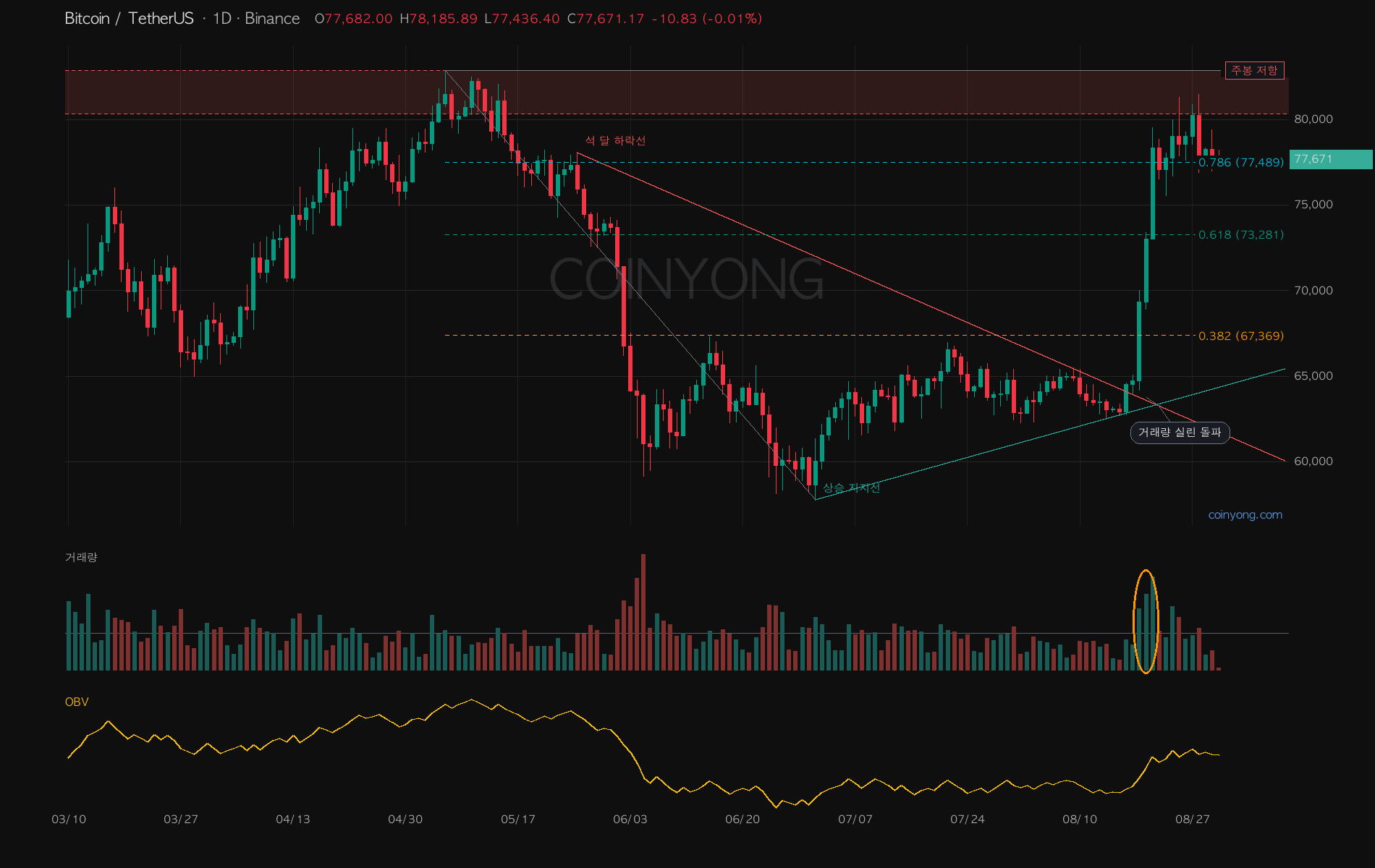 Bitcoin daily chart