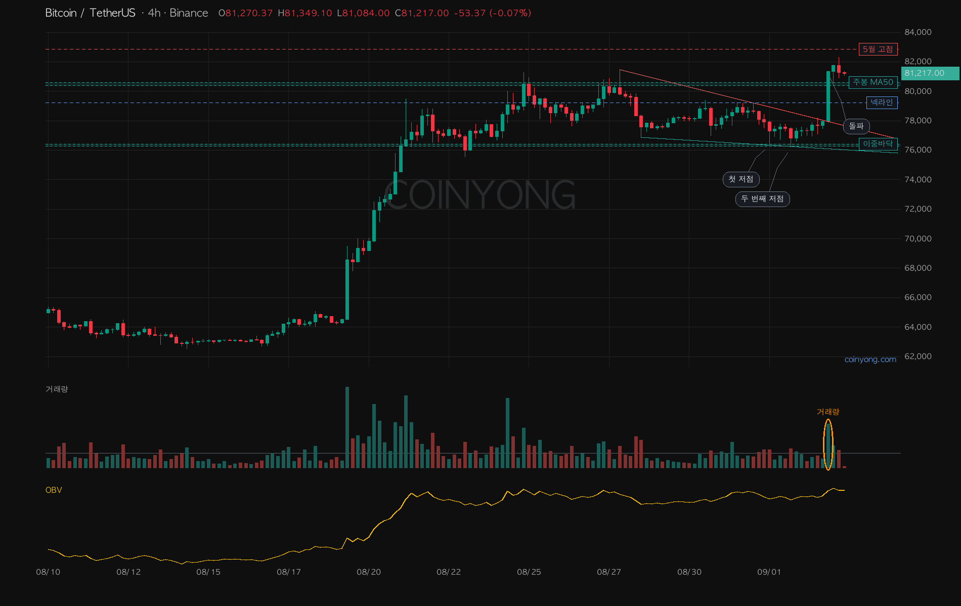 BTC 分析チャート