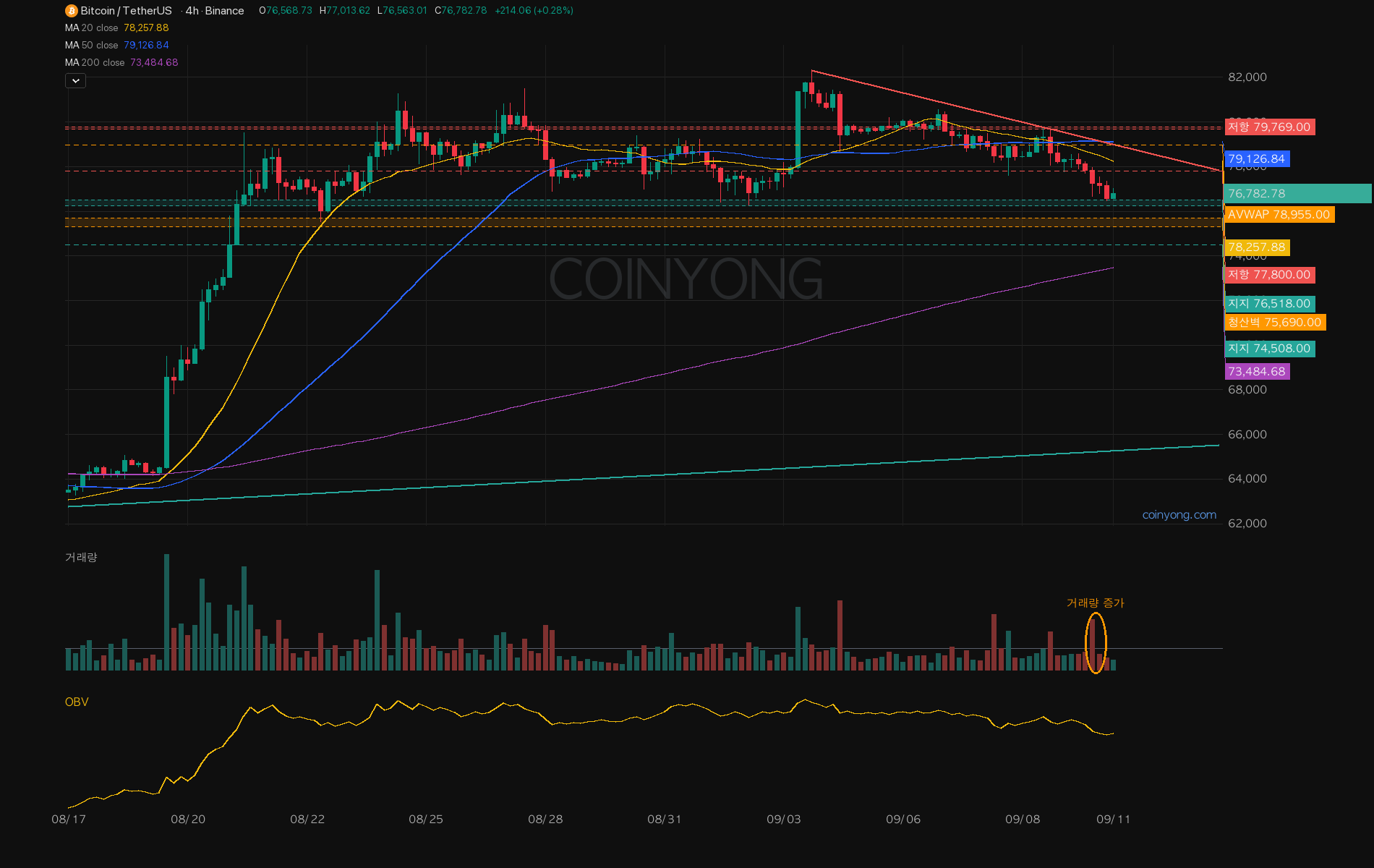 BTC 分析チャート