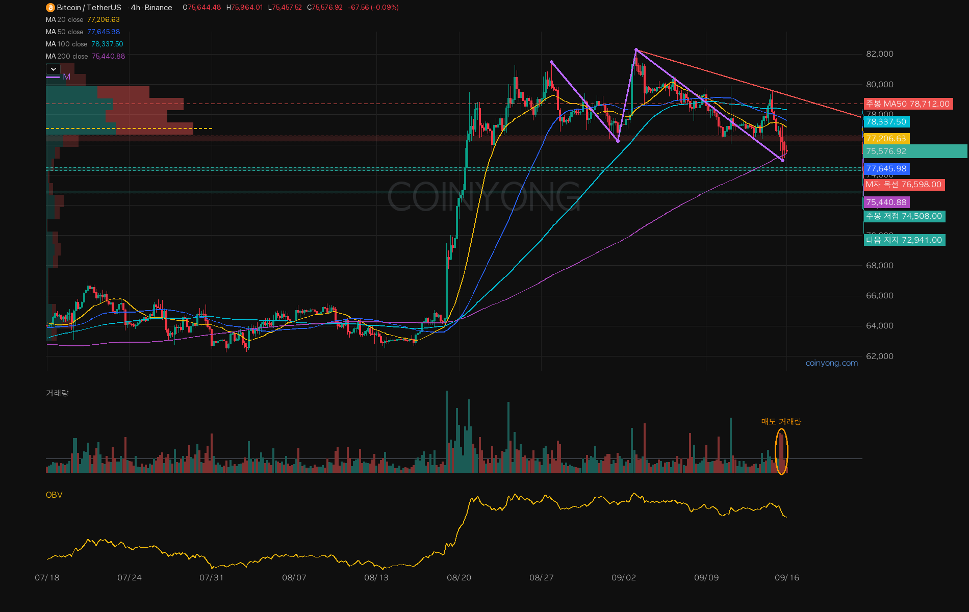 BTC 분석 차트