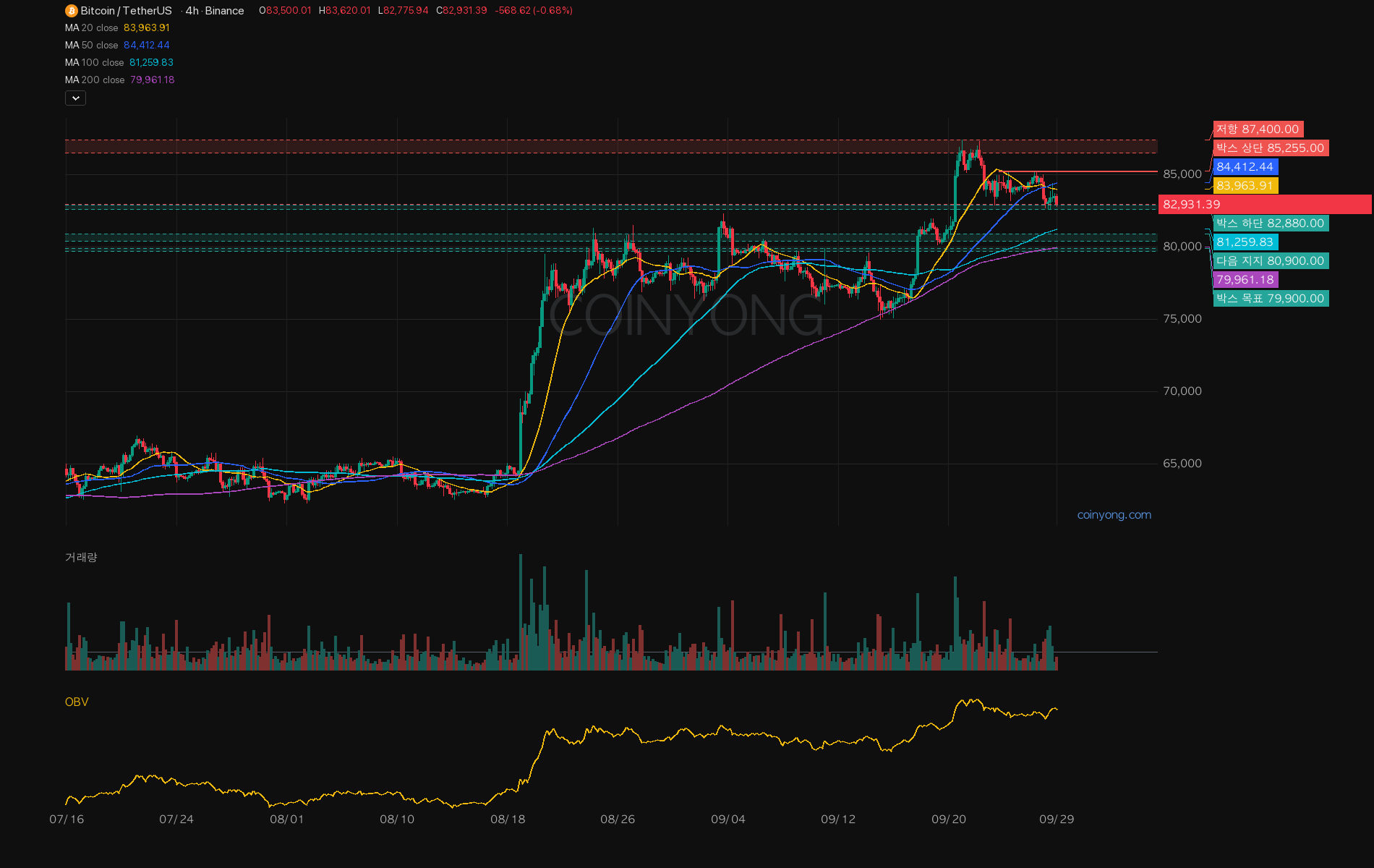 BTC 분석 차트