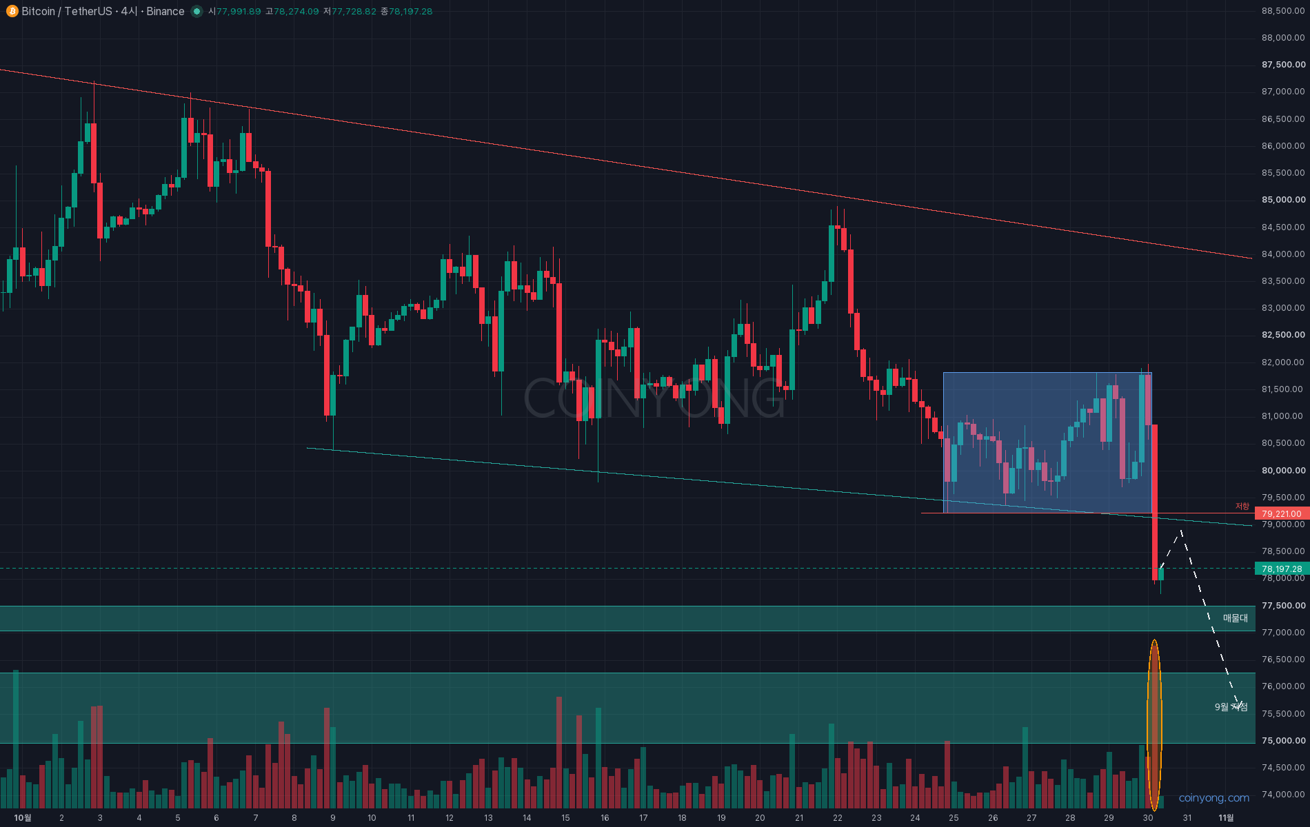 BTC 분석 차트