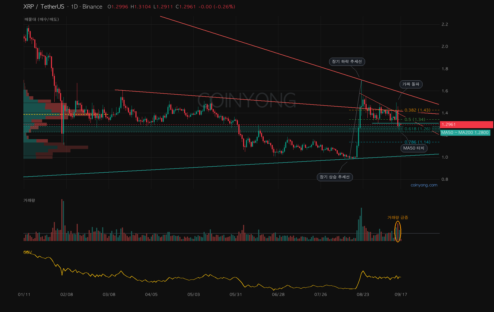 XRP 분석 차트