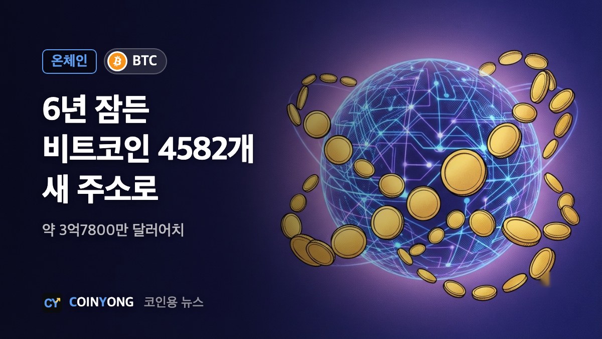 6년 잠든 비트코인 4582개 이동…새 주소 5곳으로 나눠