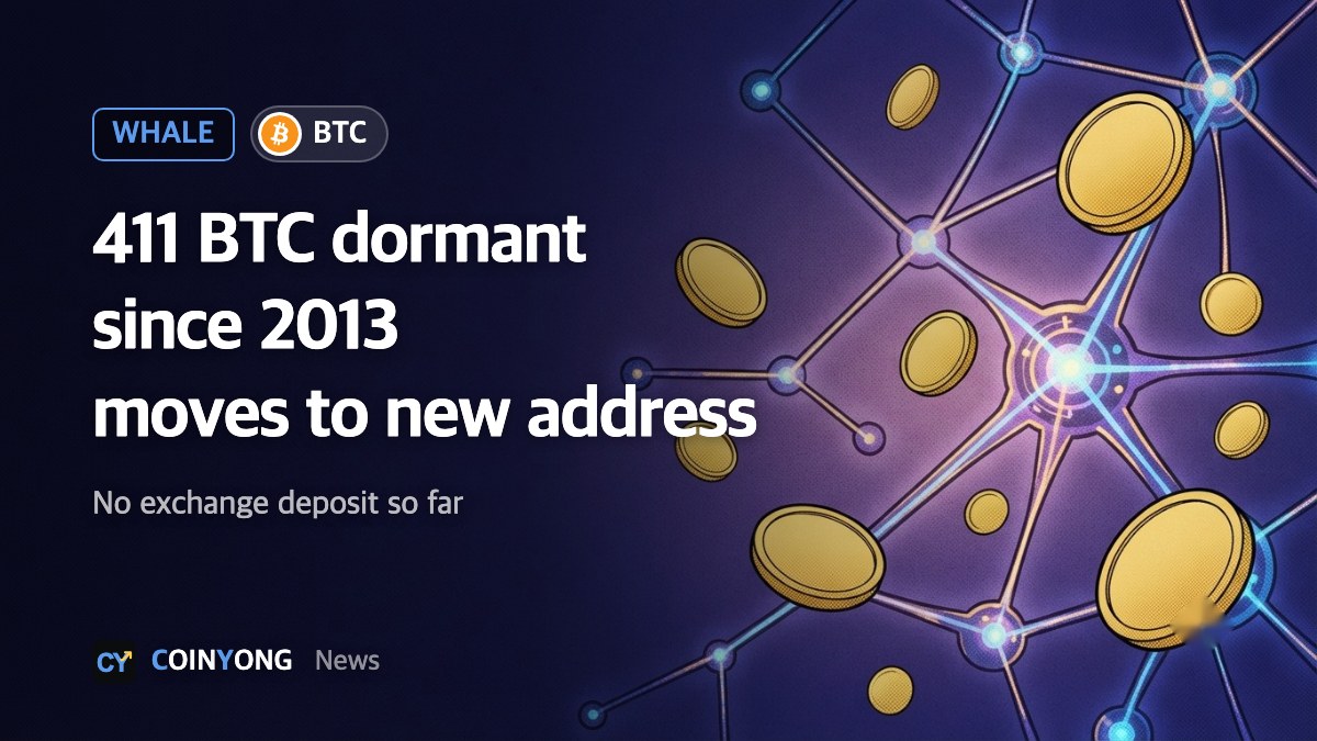 Bitcoin dormant since 2013 moves: 411 BTC shifted to a new address, none sent to exchanges