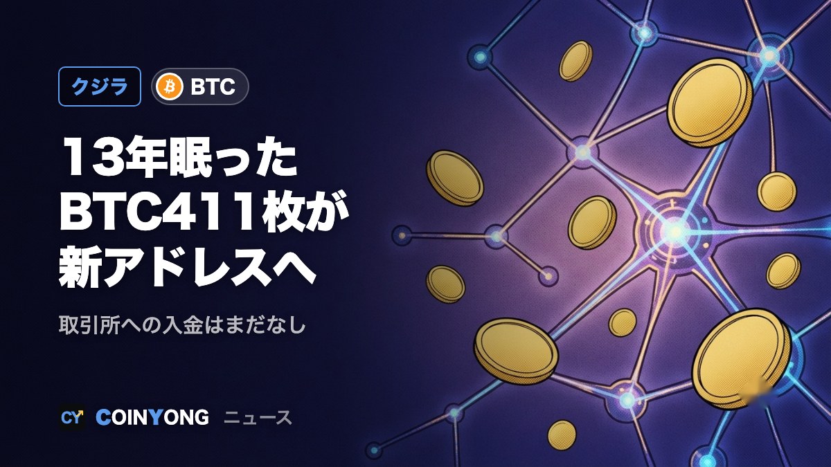 13年眠ったビットコイン411枚が新アドレスへ 取引所への入金なし