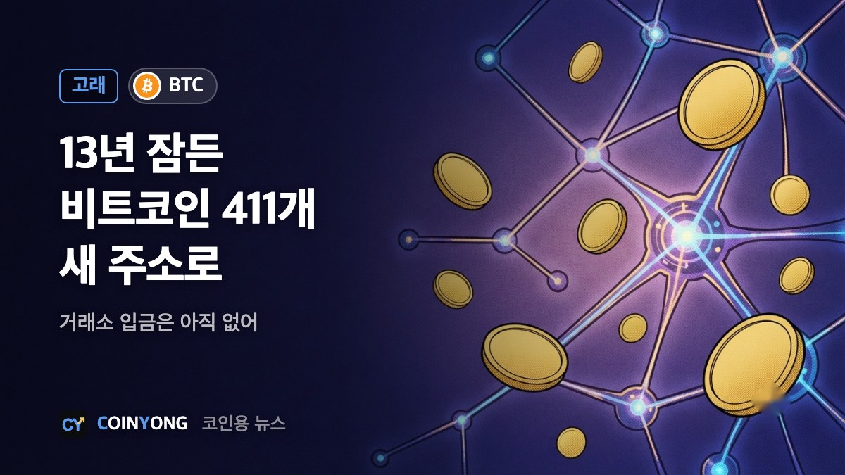 13년 잠든 비트코인 411개, 새 주소로…거래소 입금은 없어